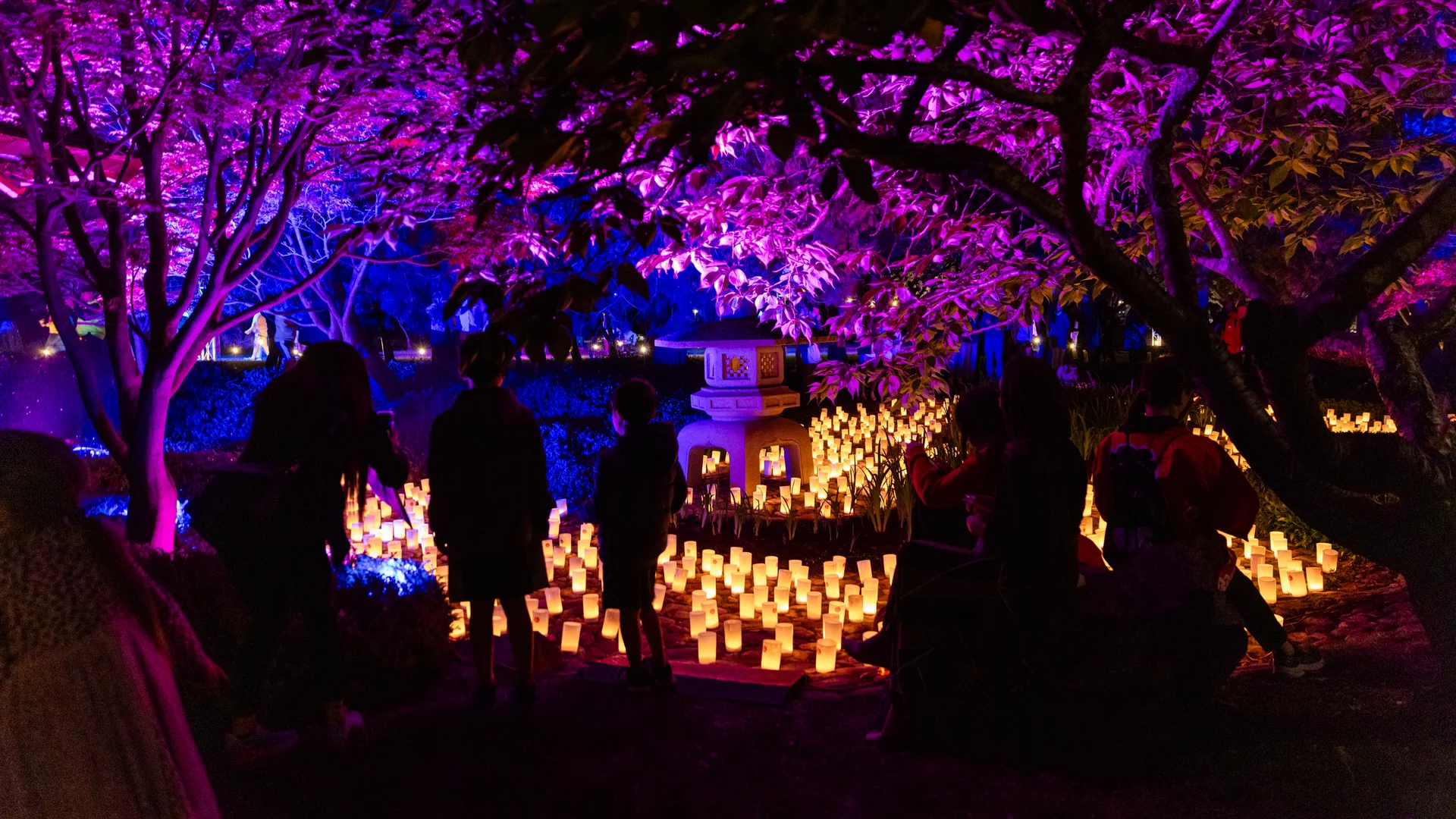 Visitors viewing illuminated candle displays and light installations at the Canberra Nara Candle Festival in Lennox Gardens.