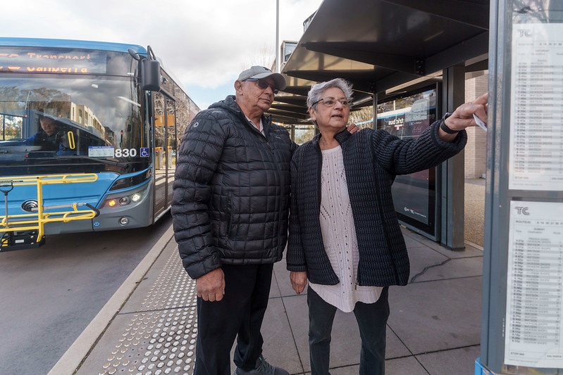Elderly couple looking at the timetable at a bus stop